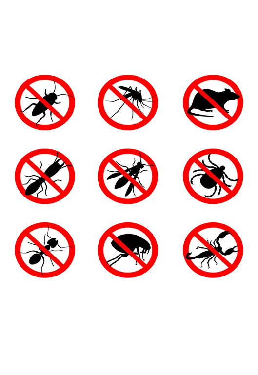 Controle de Pragas em São Paulo